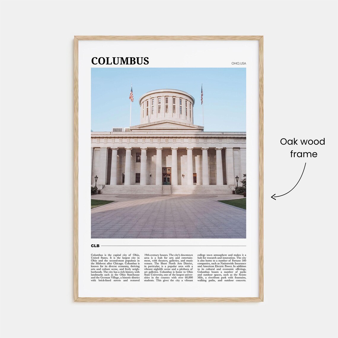 Columbus Ohio Statehouse Columns Historic Landmark Travel Art Poster - Image 3