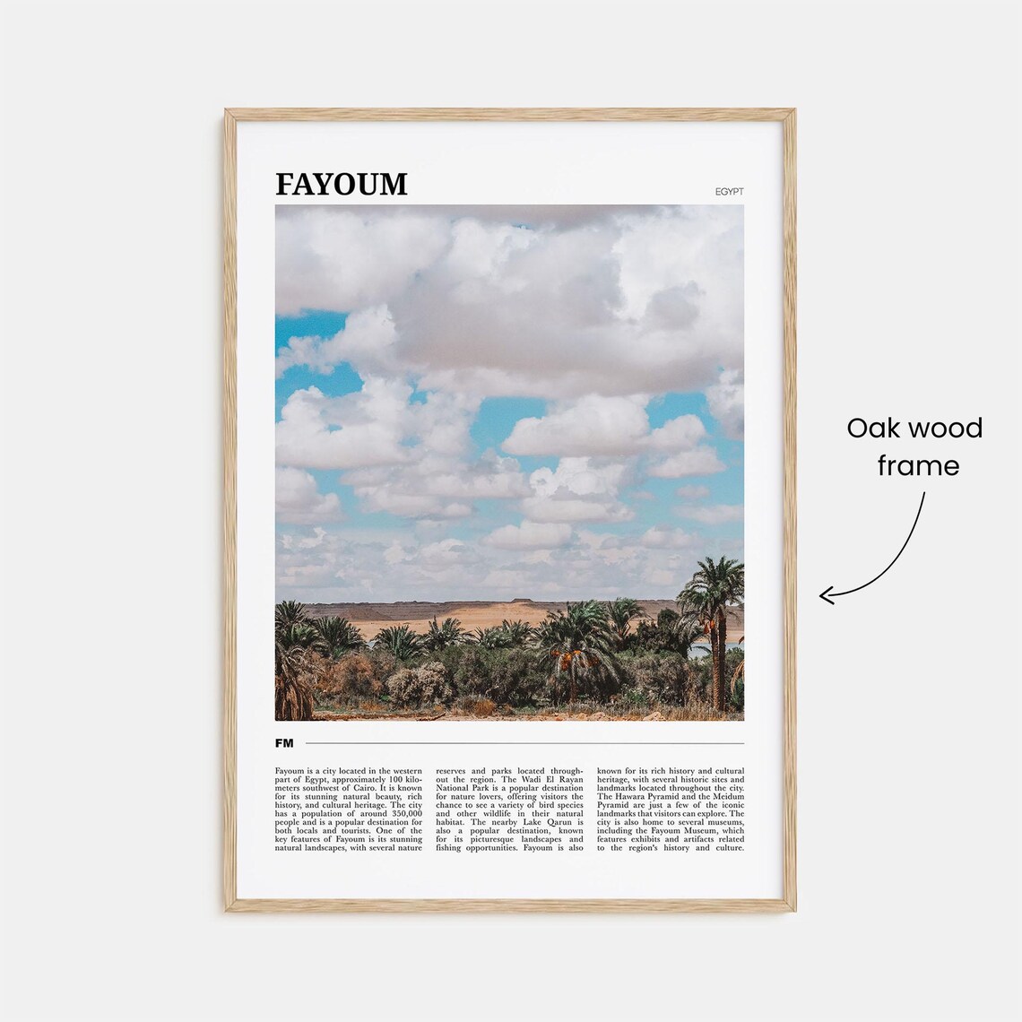 Fayoum Egypt Palm Oasis and Desert Horizon Photography Poster - Image 3