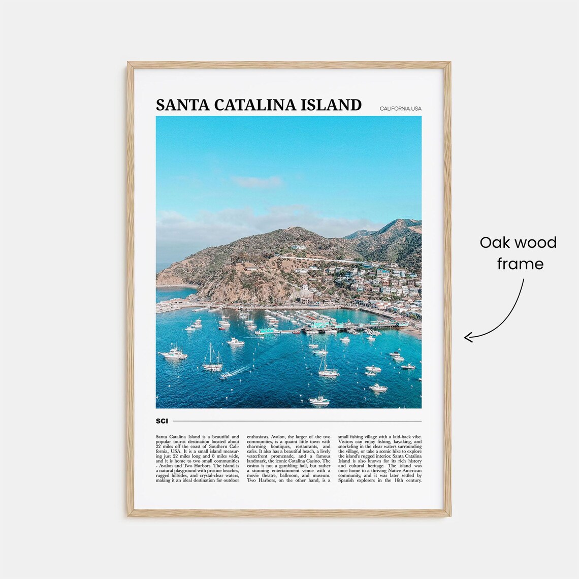 Santa Catalina Island Travel Poster, Holiday Decor - Image 3