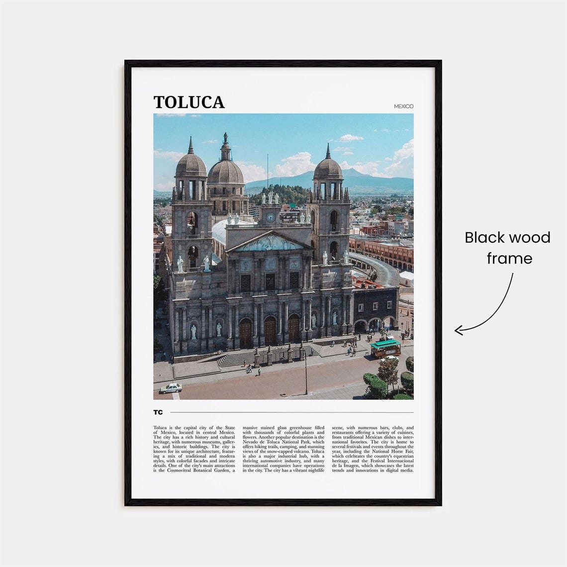 Toluca Mexico Historic Cathedral Domes Colonial Downtown Travel Poster - Image 2