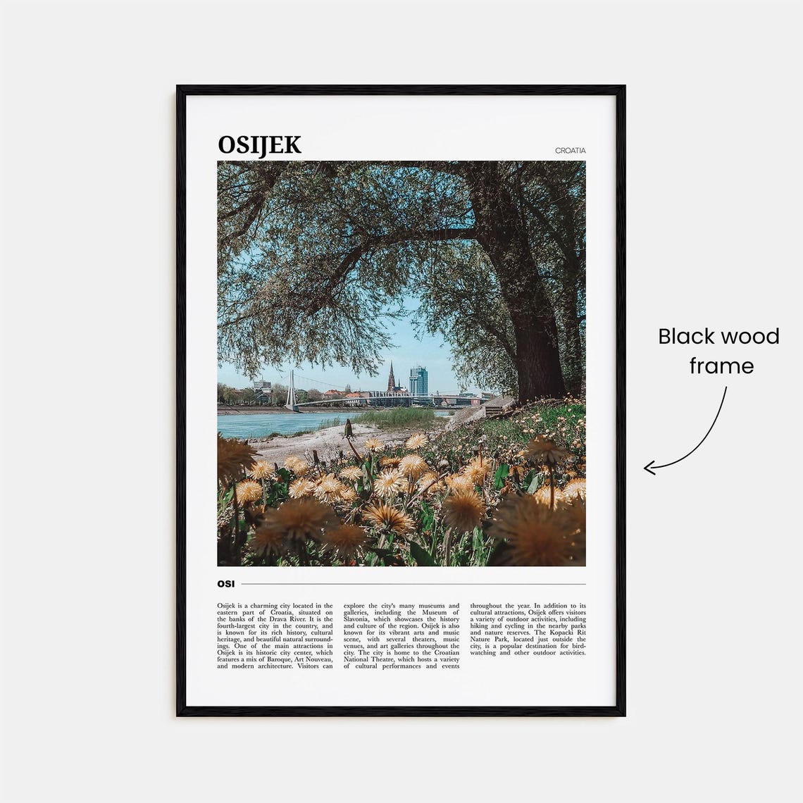 Osijek Croatia Drava River City View Spring Blooms Travel Poster - Image 2