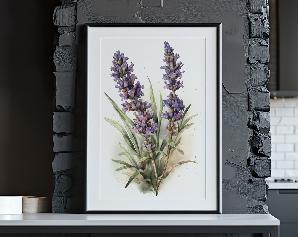 Lavender Stems Watercolor Detailed Purple Spikes Herbal Botanical Art Poster