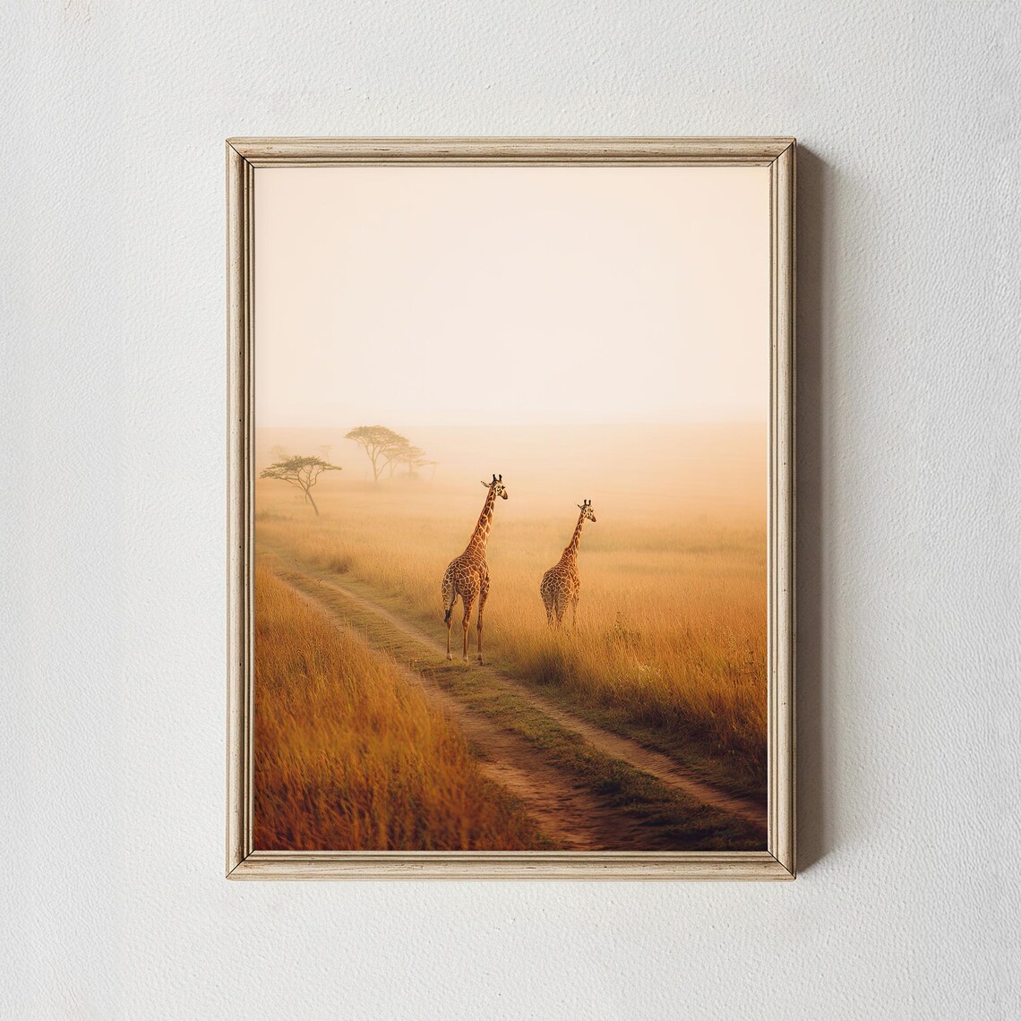 Two Giraffes Walking Misty Golden Savanna Path Safari Wall Art