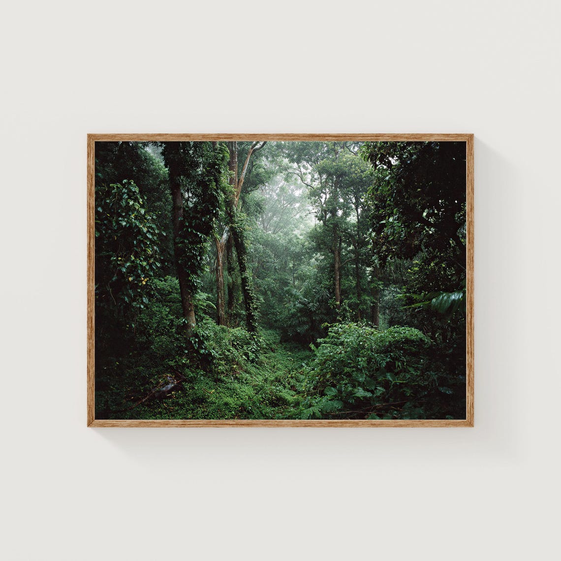 Misty Rainforest Photography Print Tropical Jungle Wall Art