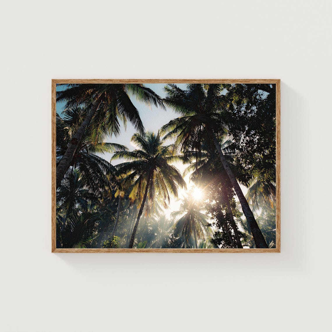 Sunlight Streaming through a Lush Tropical Palm Canopy Photo Poster