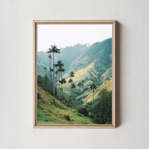 Cocora Valley Colombia Wax Palm Trees Green Mountains Poster