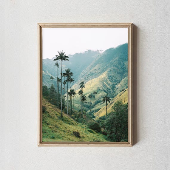 Cocora Valley Print Colombia Wax Palm Landscape Photography