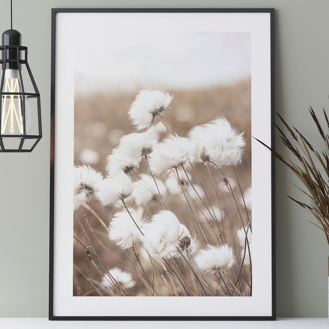 Cotton Grass Field Soft White Fluff Nature Photography Poster