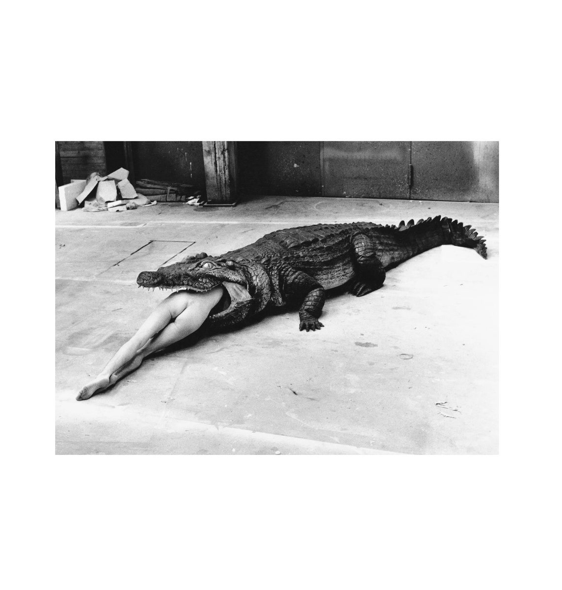 Croc Eating Lady Art Crocodile Eating Ballerina Wall Art Vintage Alligator Print Vintage Crocodile Poster Crocodile Posters Crocodiles - Image 4