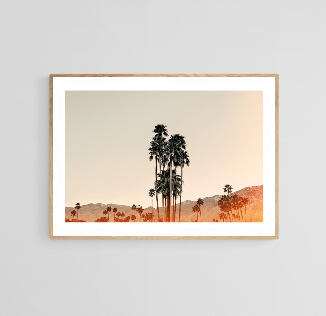 Palm Tree Photograph, Palm Springs Mid-Century Modern