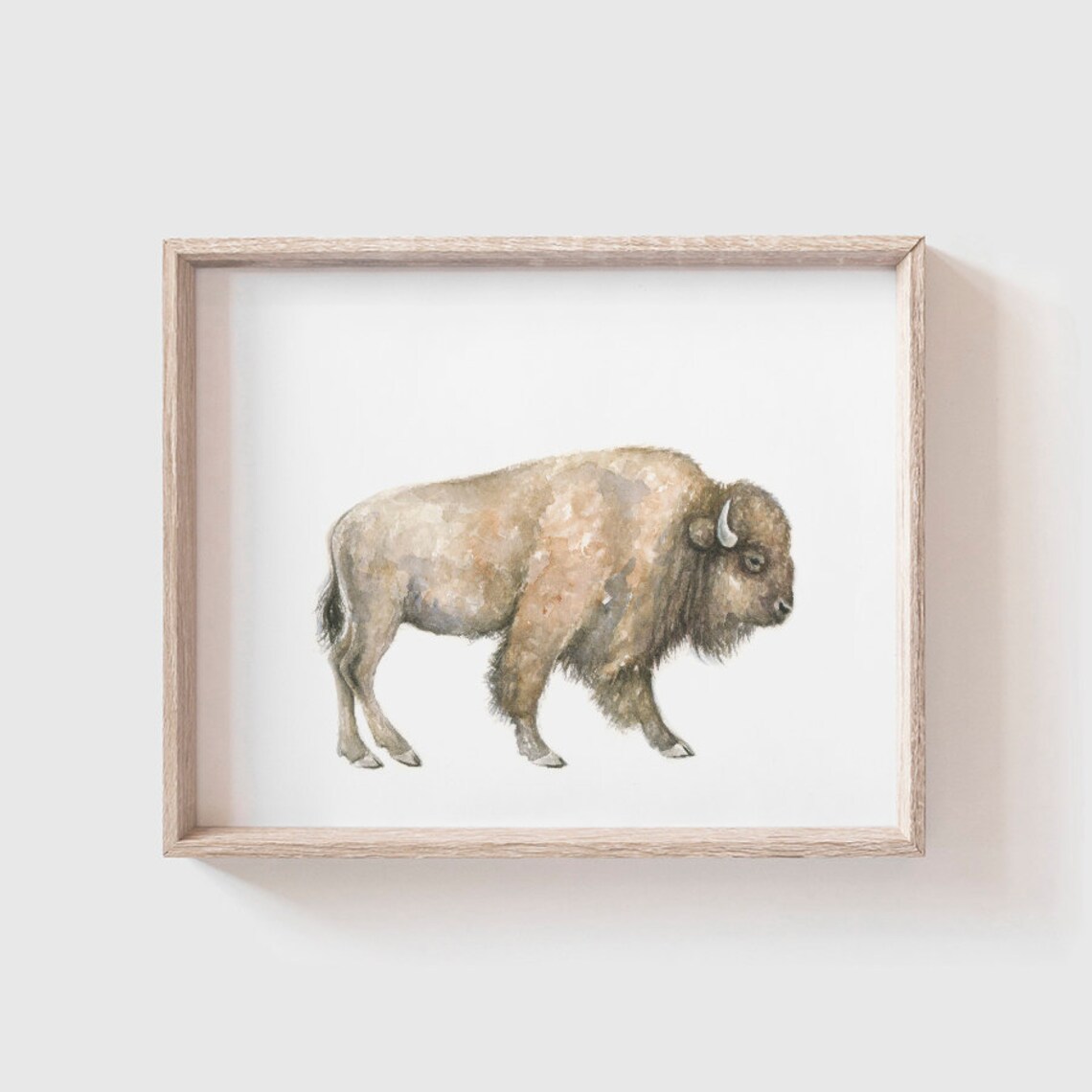 Buffalo Art Print, Southwestern Watercolor Painting