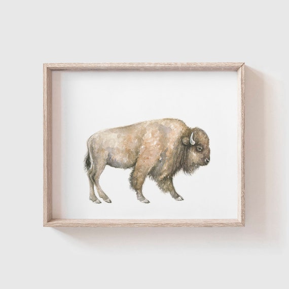 Buffalo Art Print, Southwestern Watercolor Painting
