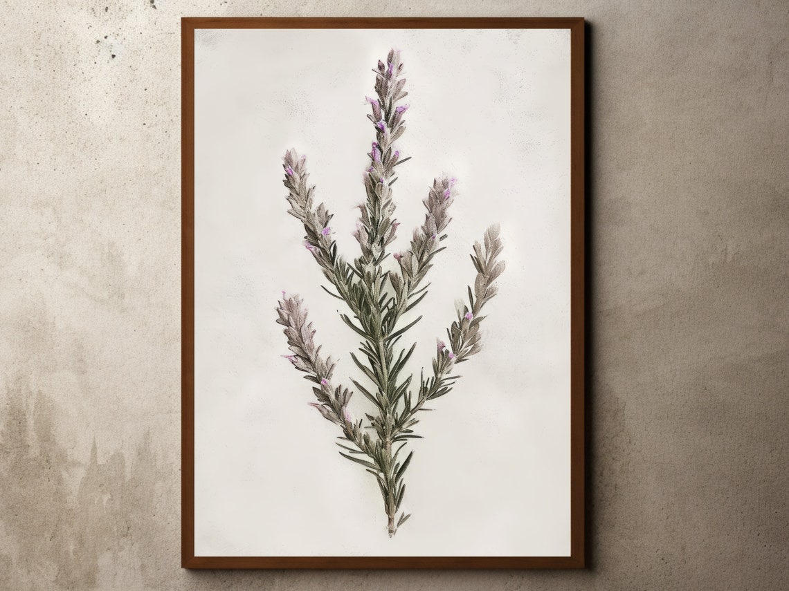 Lavender Sprig Botanical Watercolor Minimalist Floral Poster