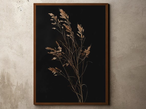 Dried Pampas Grass on Black Moody Botanical Dark Floral Poster
