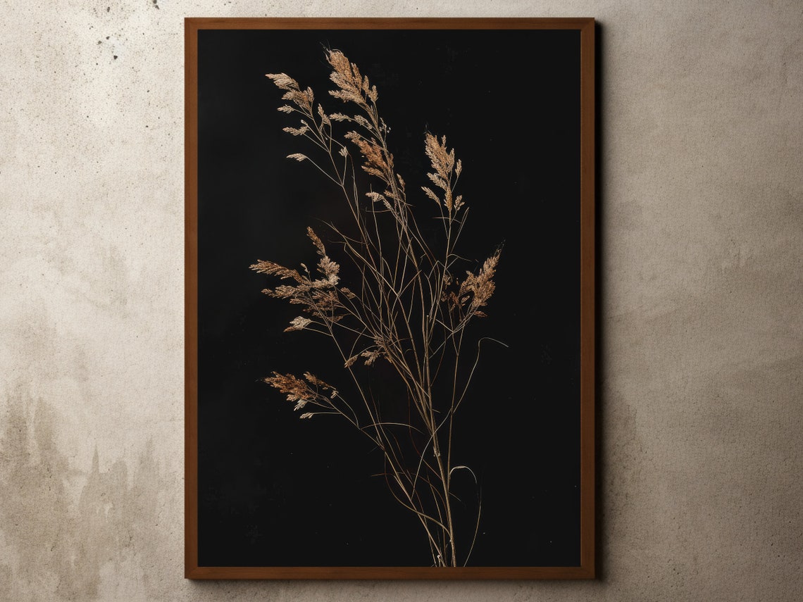 Dried Pampas Grass on Black Moody Botanical Dark Floral Poster