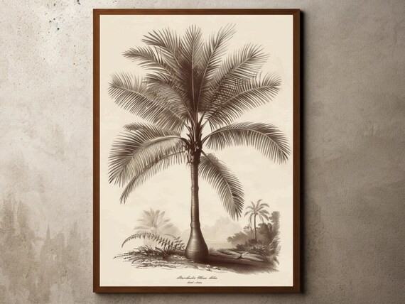 Vintage Palm Tree Drawing Rustic Antique Farmhouse Print Botanical Sketch Tropical Jungle Art