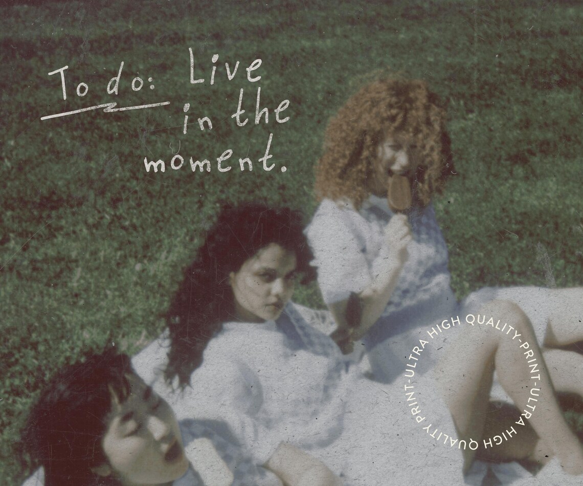 Live in the Moment Vintage Friends Lawn Photo Inspirational Quote Poster - Image 5