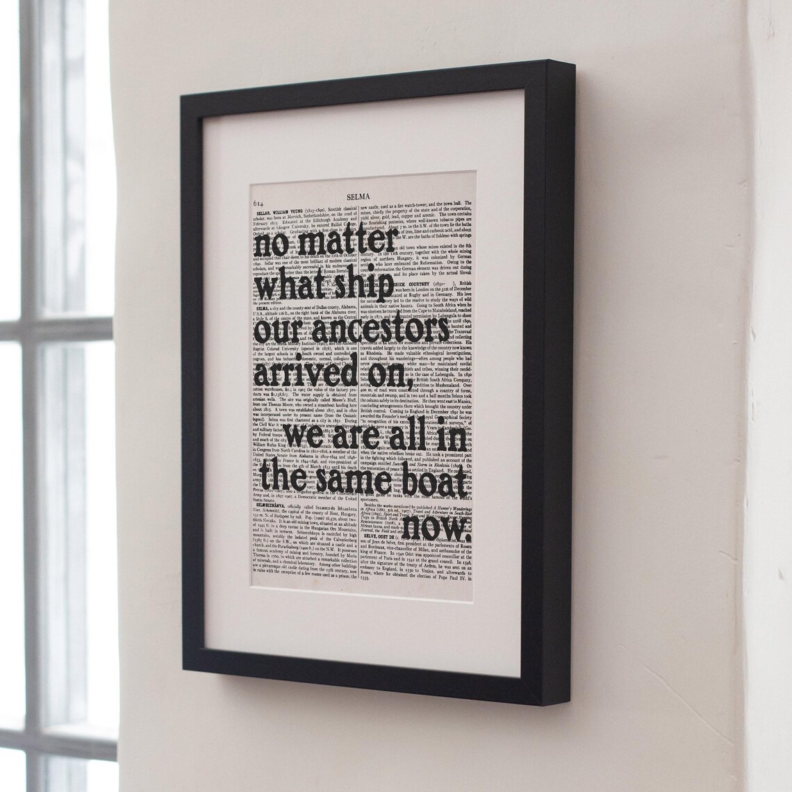 No Matter What Ship Our Ancestors Arrived On Same Boat Quote Poster - Image 4