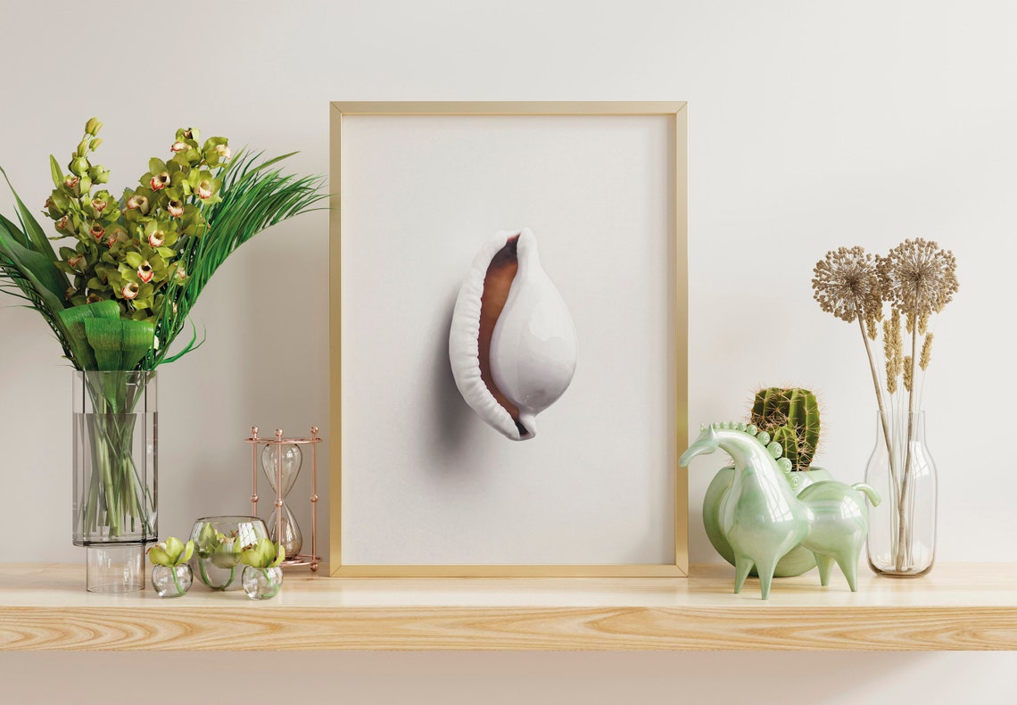 White Cowrie Seashell Minimalist Neutral Coastal Photography Print - Image 3