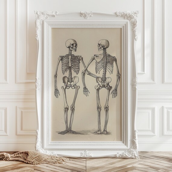 Antique Skeleton Anatomy Illustration Dark Academia Halloween Poster