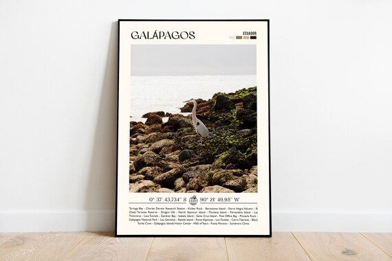 Galapagos Ecuador Heron Rocky Shore Wildlife Photography Poster
