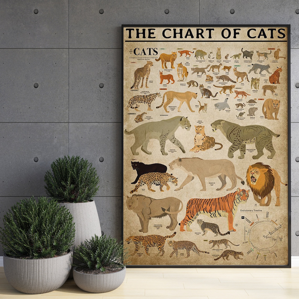 Chart Of Cats, Cat Breeds Wall Chart Art Print - Image 3