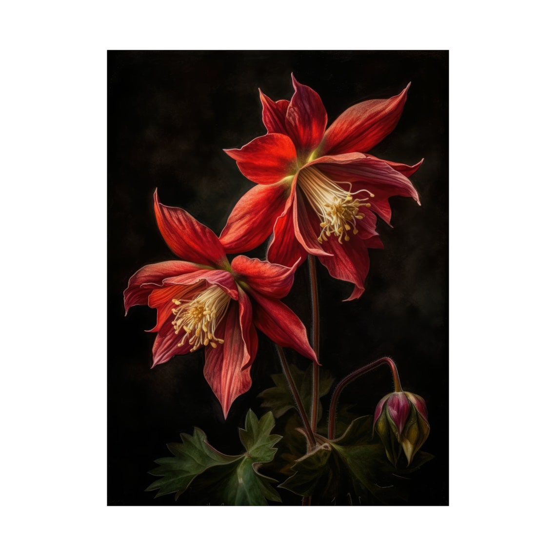 Red Columbine Crimson Blooms Bud Dark Dramatic Floral Art Poster - Image 4