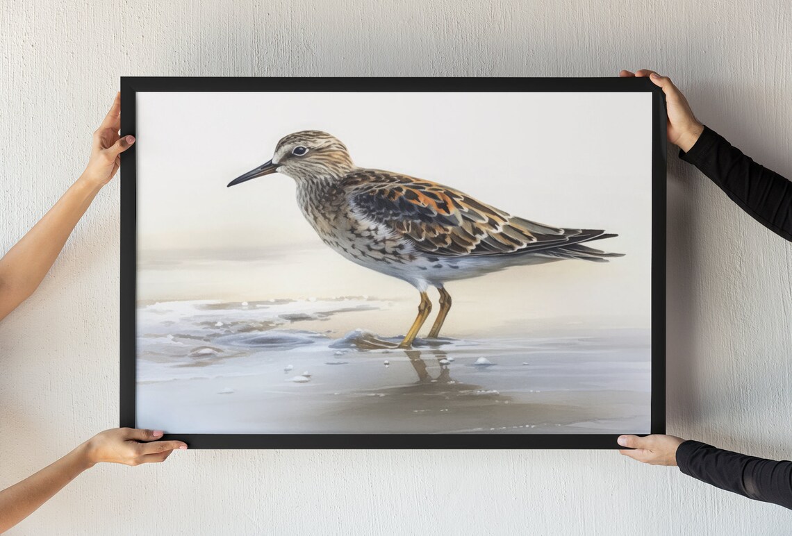 Pectoral Sandpiper Wading Shorebird Watercolor Beach Bird Art Print
