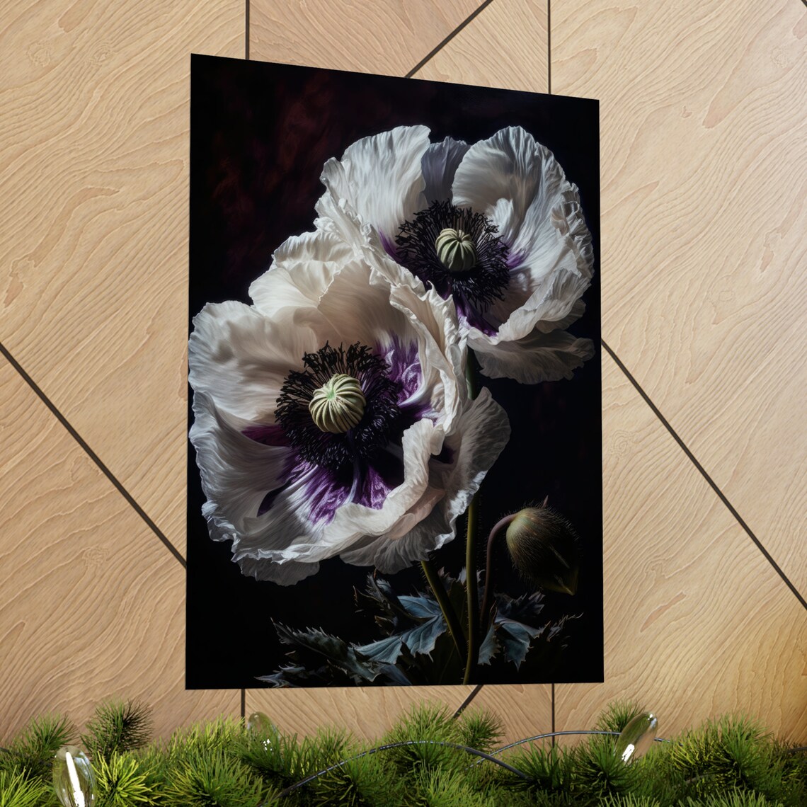 Oriental Poppy White Blossoms Purple Center Dark Botanical Art Print - Image 2