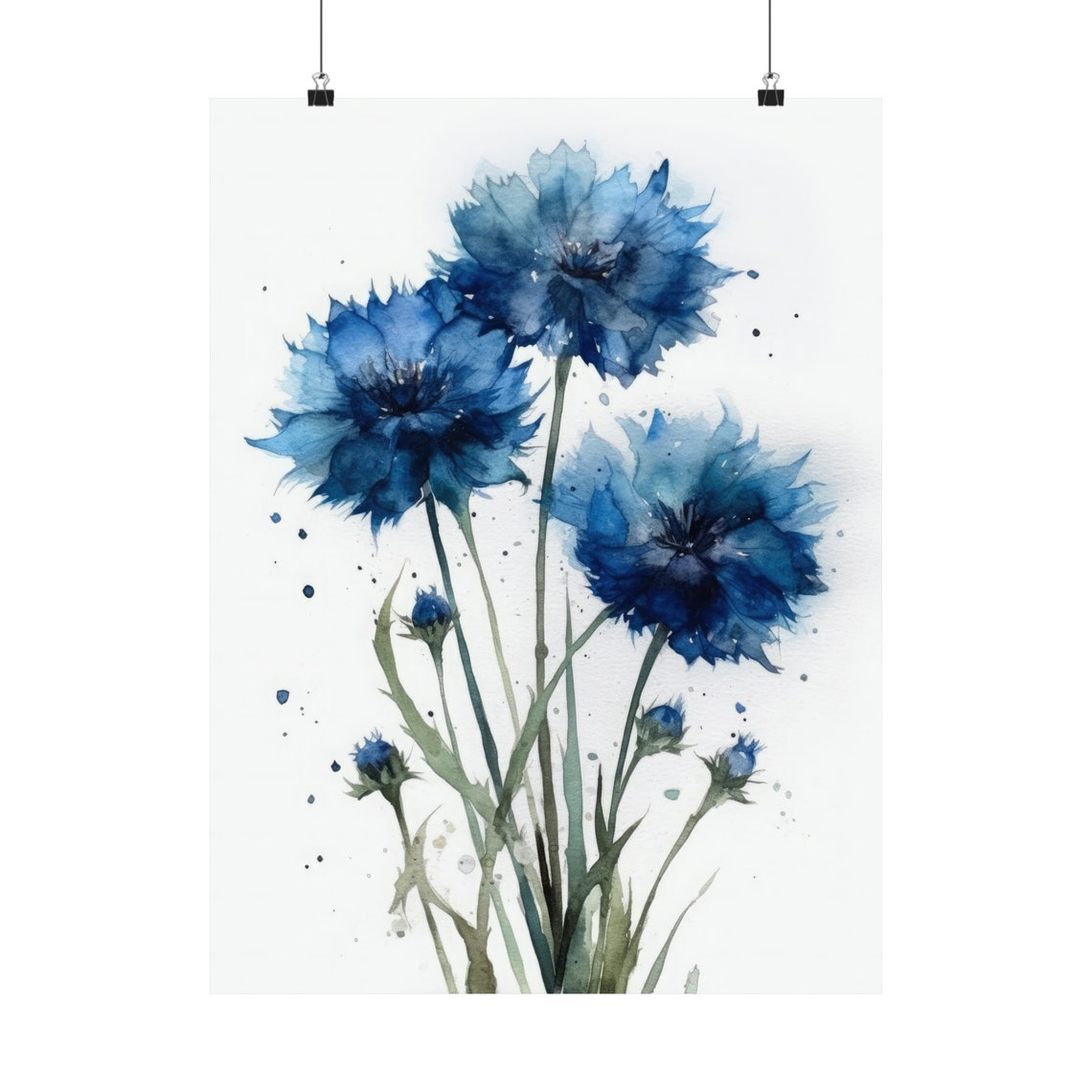 Blue Bachelor Buttons Cornflower Watercolor Botanical Poster - Image 5