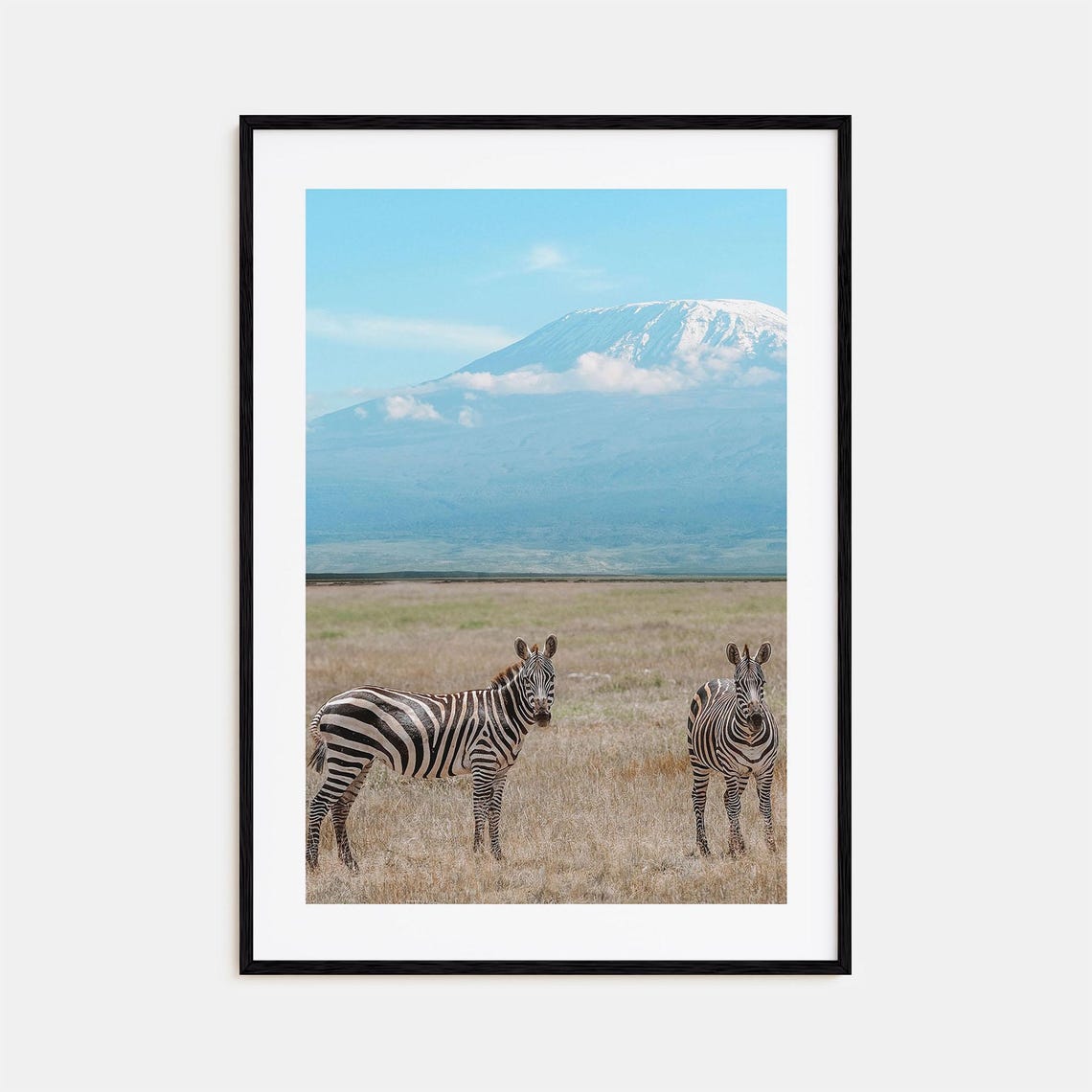 Mount Kilimanjaro African Zebras Savanna Snowcapped Peak Poster