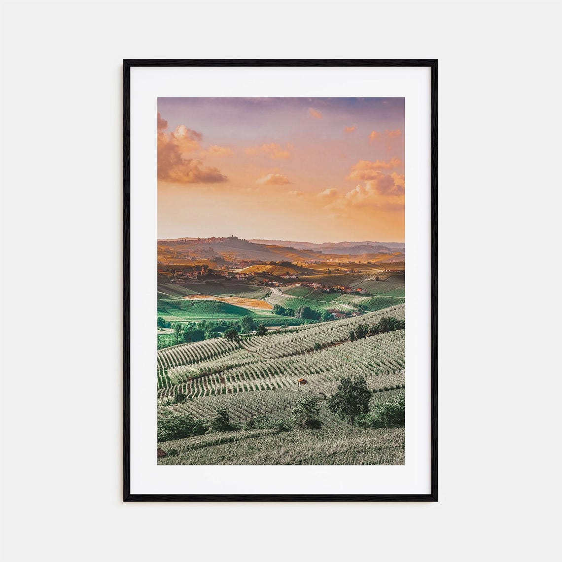 Italy Rolling Vineyard Hills Sunset Countryside Photo Poster