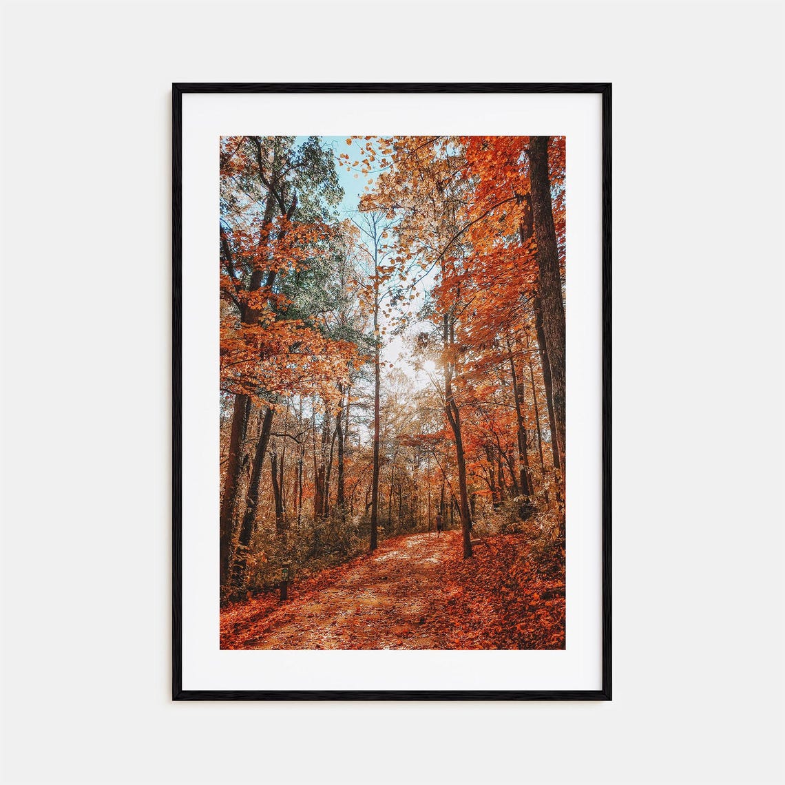 Knoxville Colorful Poster Print No 3 Knoxville Photo Art Knoxville Decor Knoxville Travel Print Knoxville Street Map Poster City Map
