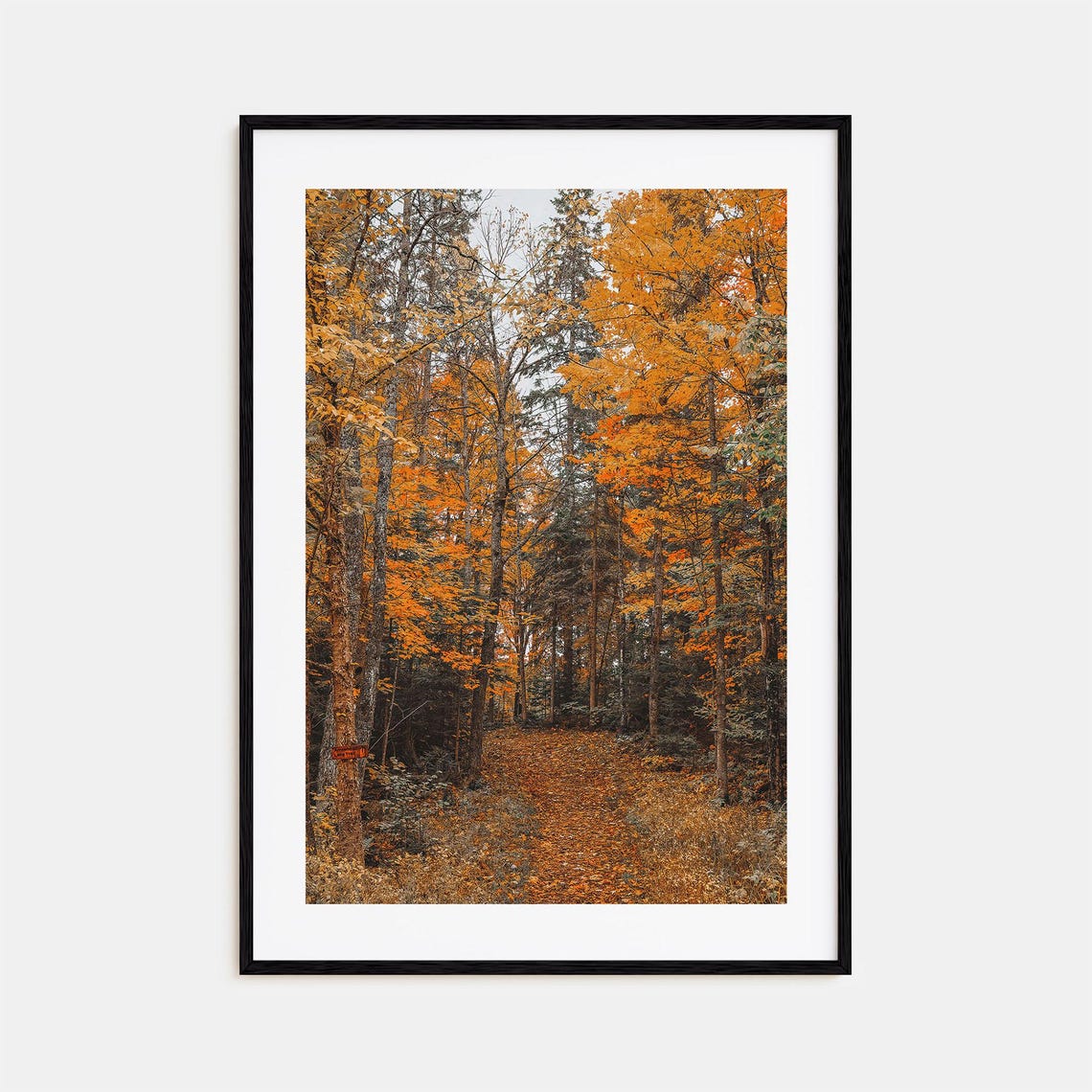 Golden Autumn Forest Path Fall Foliage Photography Art Print