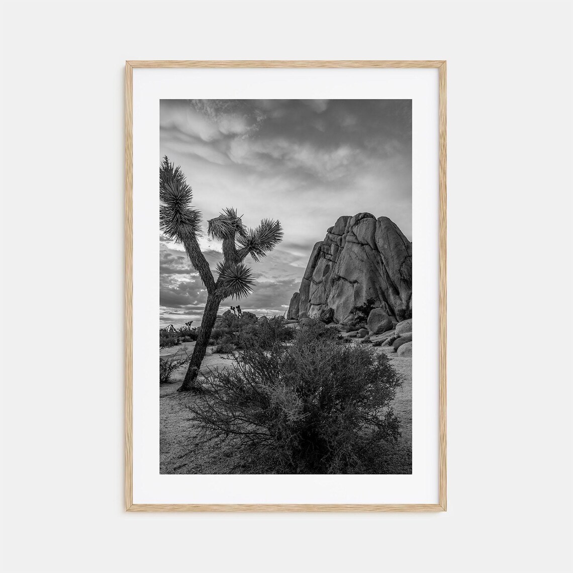 Joshua Tree National Park Black And White Travel Poster