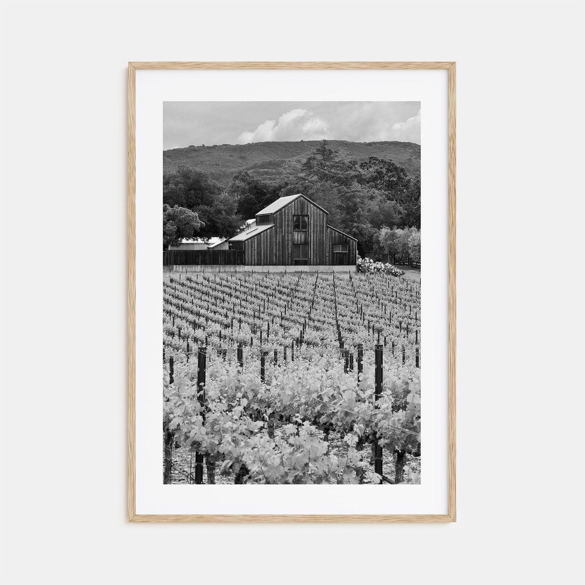 Napa Valley Vineyard Barn Black And White Wine Country Poster