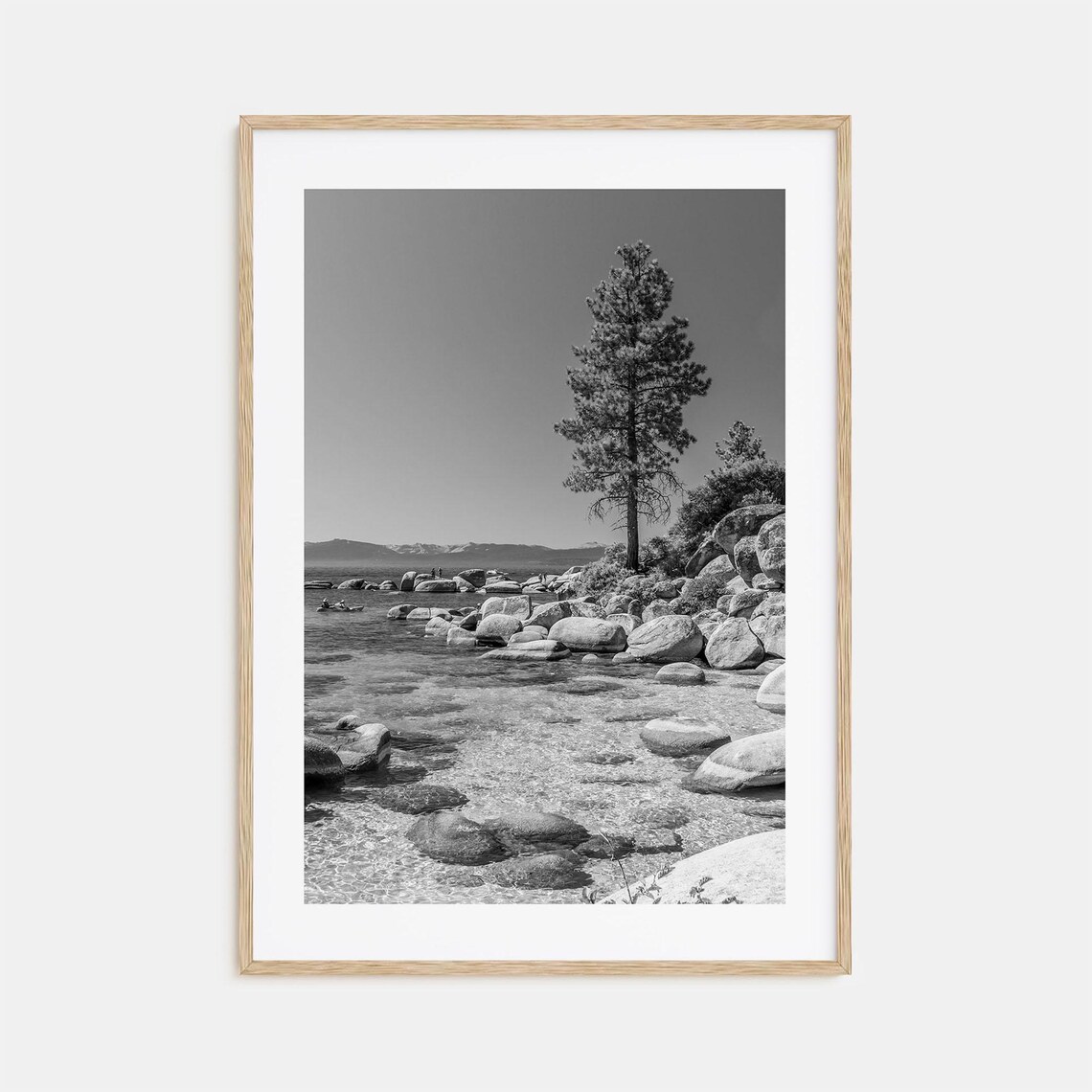Lake Tahoe Rocky Shore Lone Pine Black And White Nature Poster