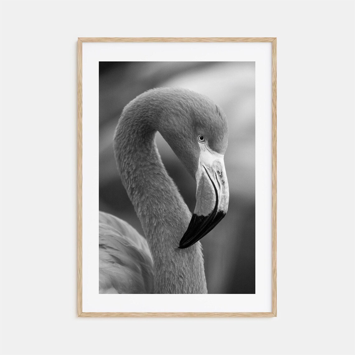 Elegant Flamingo Portrait With Curved Neck Black And White Art Poster