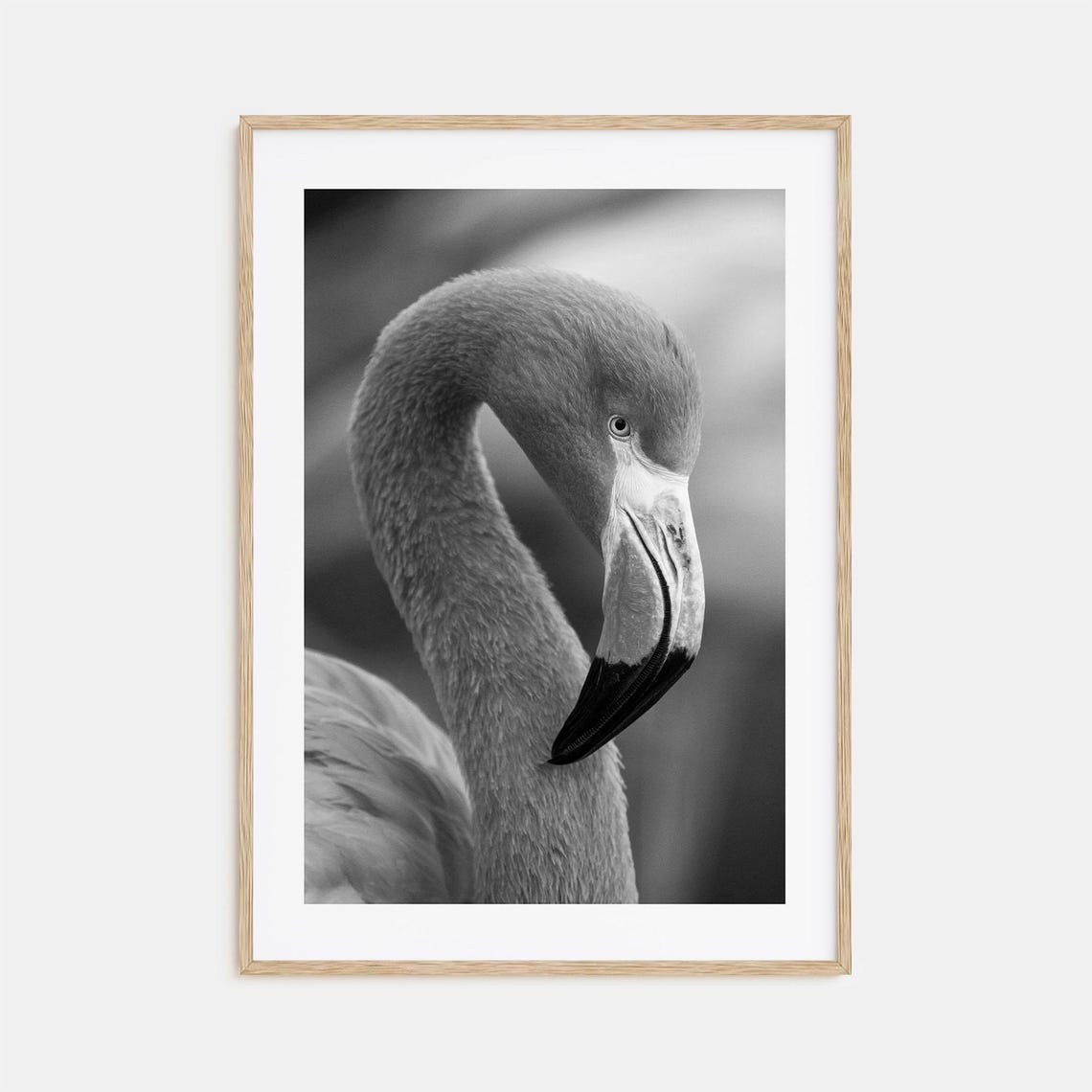 Flamingo Photo Poster Print Flamingo Black And White Wall Art Flamingo Wall Photography Flamingo Travel Flamingo Map Poster