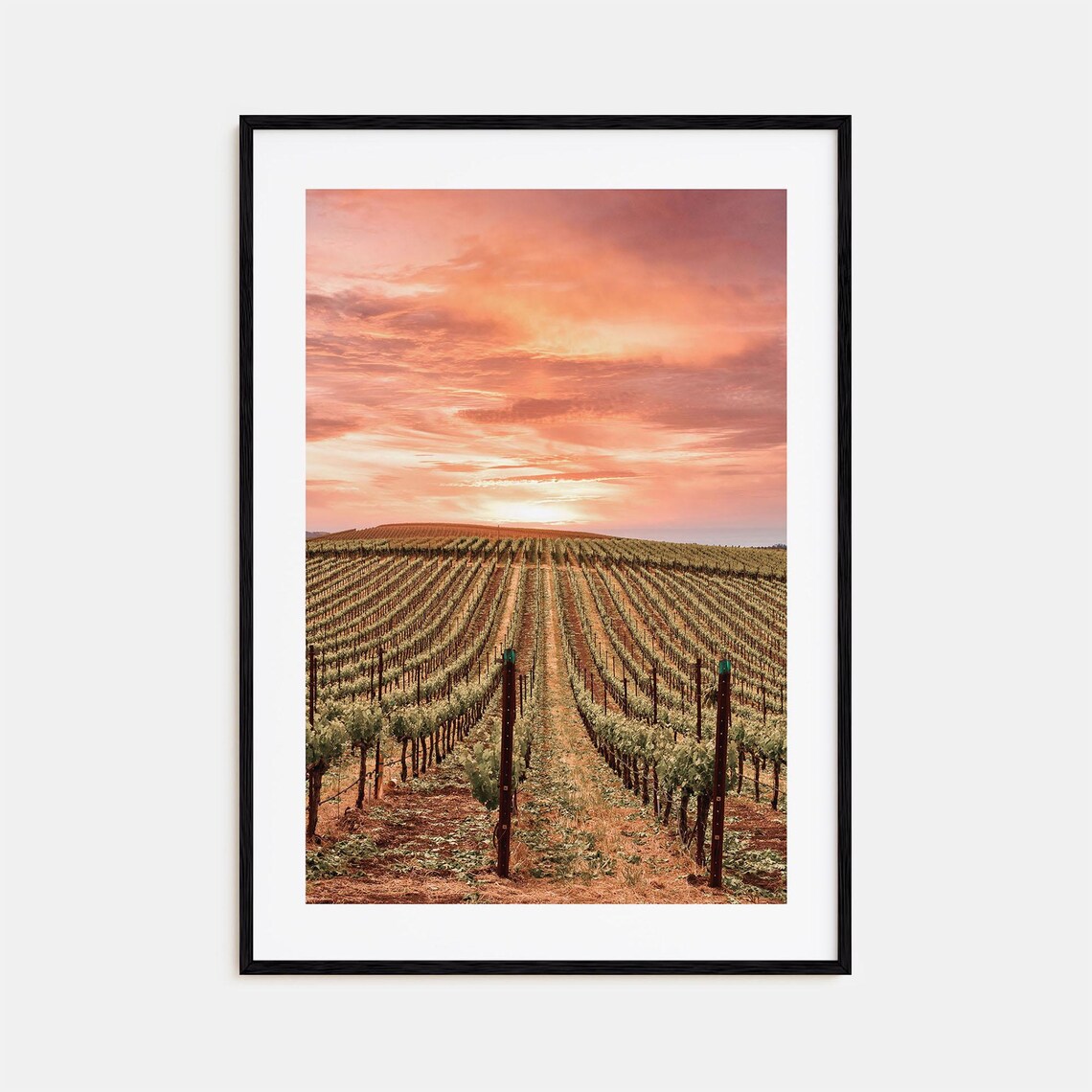 Sonoma Colorful Poster Print Sonoma Photo Wall Art Sonoma Wall Decor Sonoma Travel Print Sonoma Street Map Poster City Map