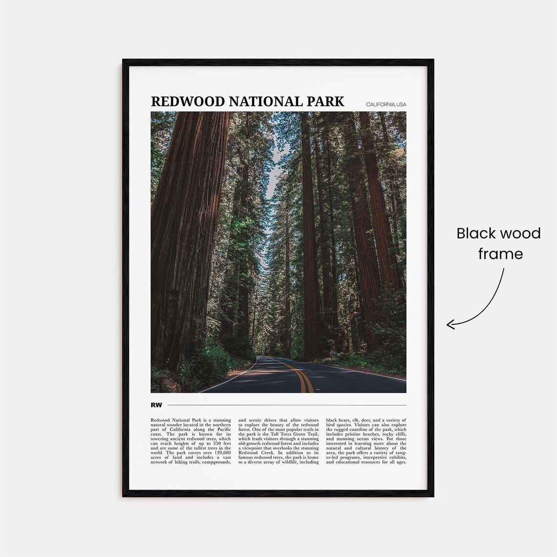 Redwood National Park Travel Poster, Park Wall Art - Image 2