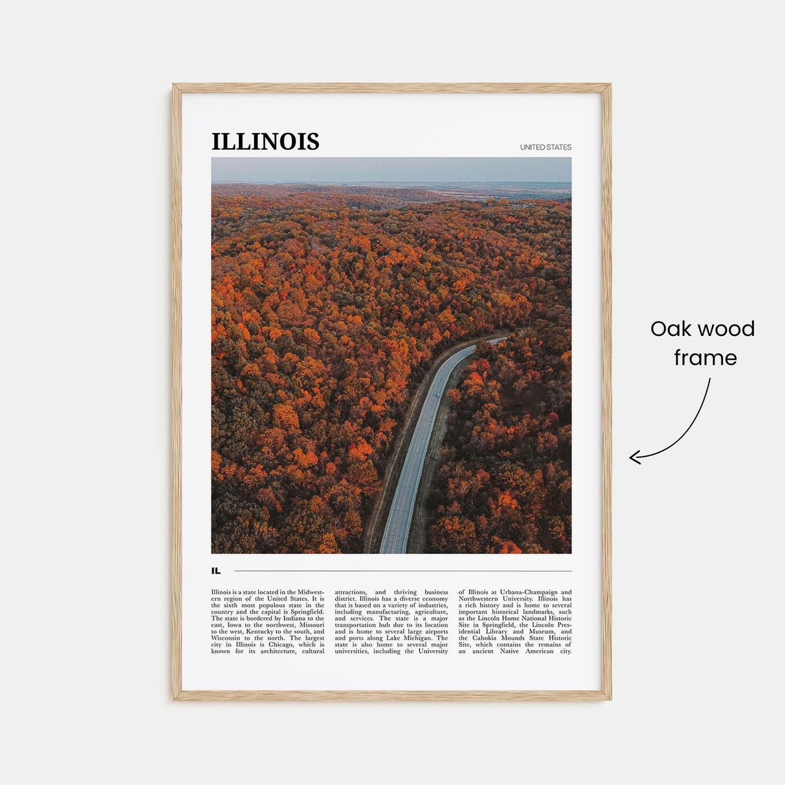 Illinois USA Scenic Fall Foliage Forest Highway Aerial Poster - Image 3