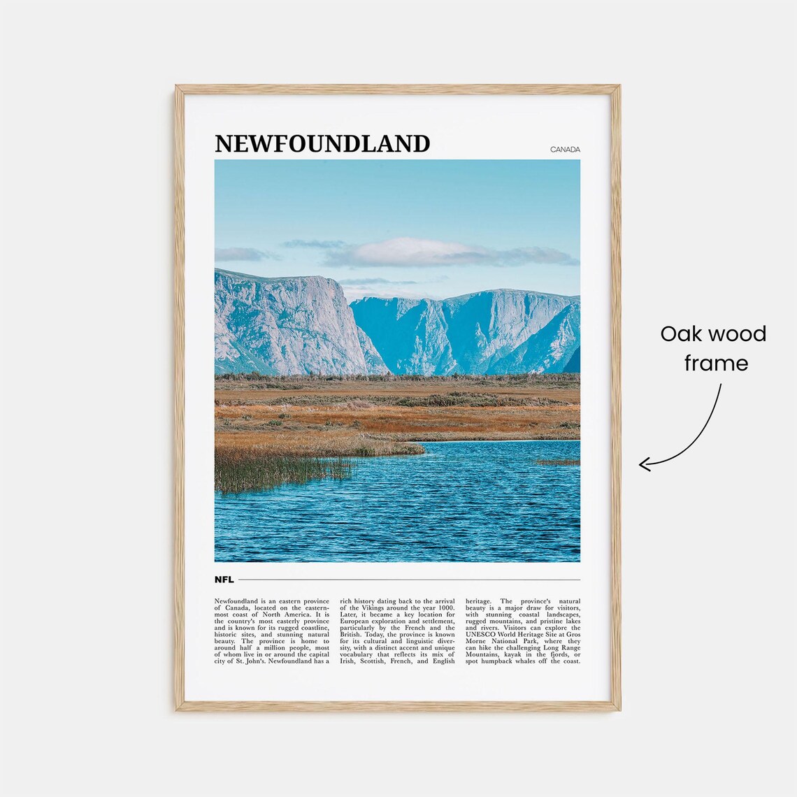 Newfoundland Travel Poster, Canada Travel Poster - Image 3