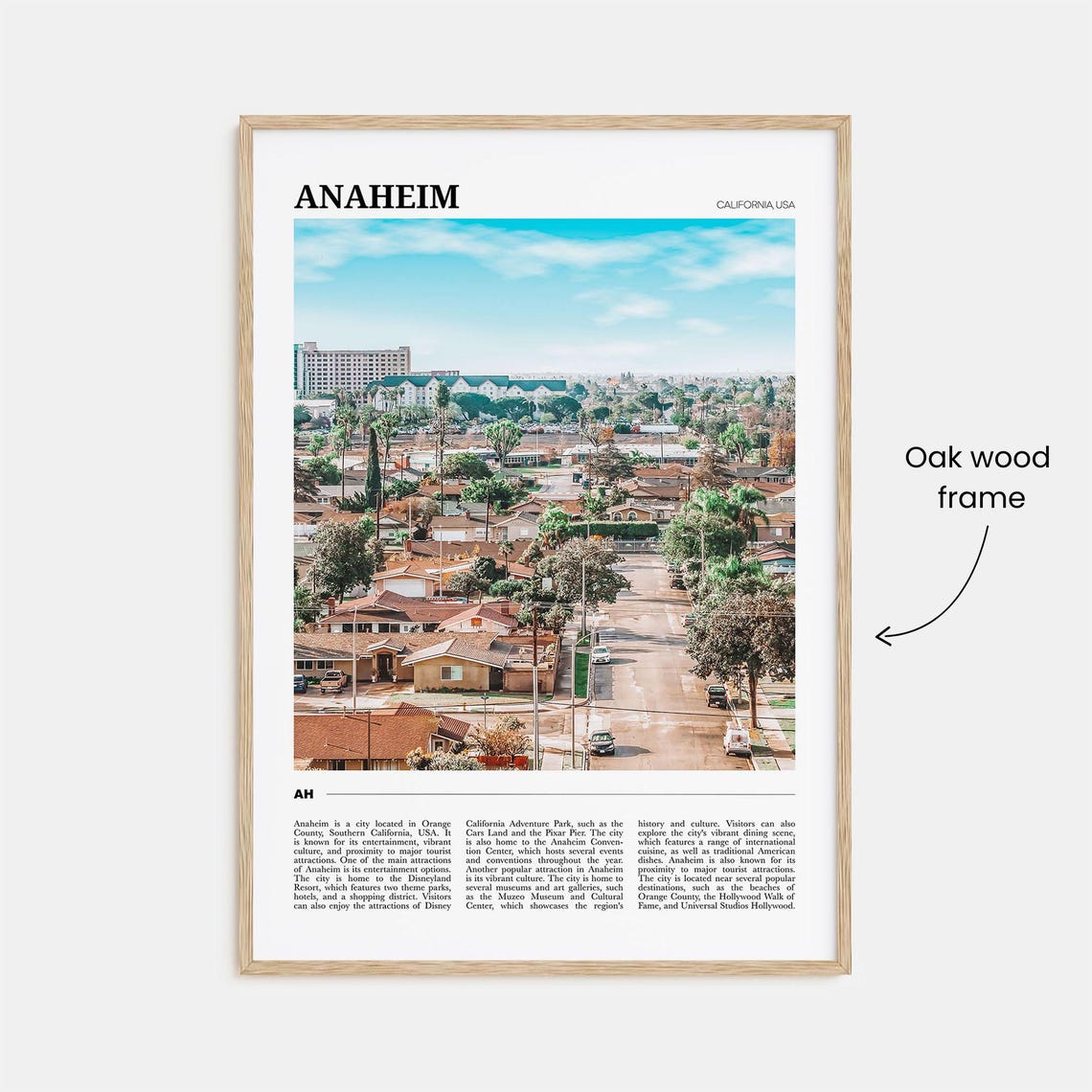 Anaheim Travel Poster Anaheim Wall Art Anaheim Poster Print Anaheim Photo Anaheim Decor California Usa - Image 3