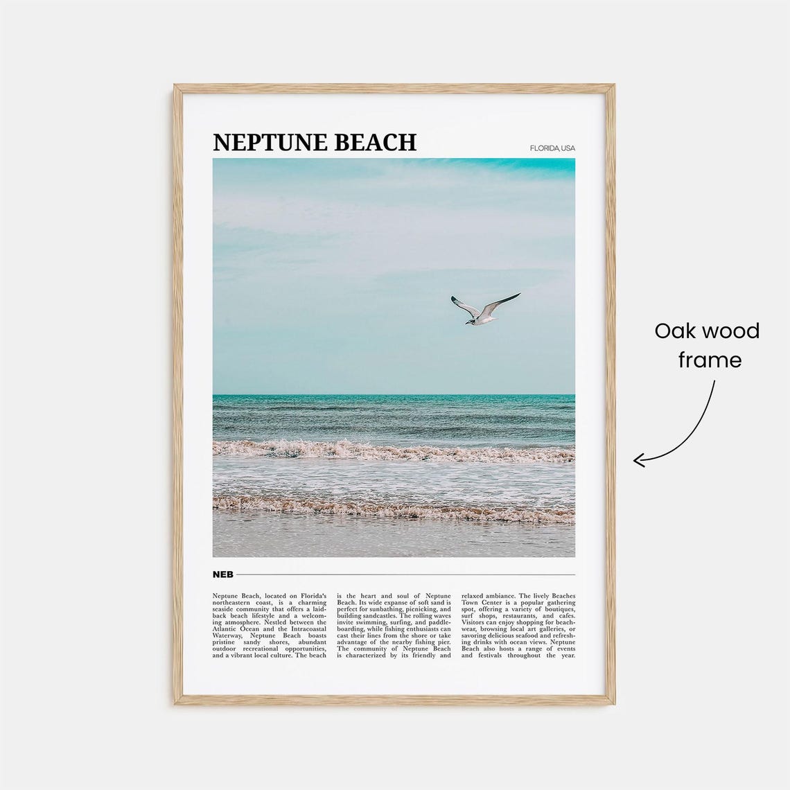 Neptune Beach Florida Seagull Over Ocean Waves Travel Poster - Image 3