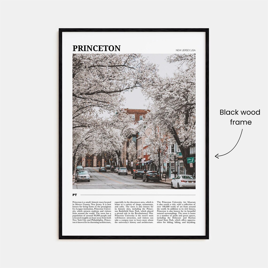 Princeton Travel Poster, New Jersey Wall Art - Image 2