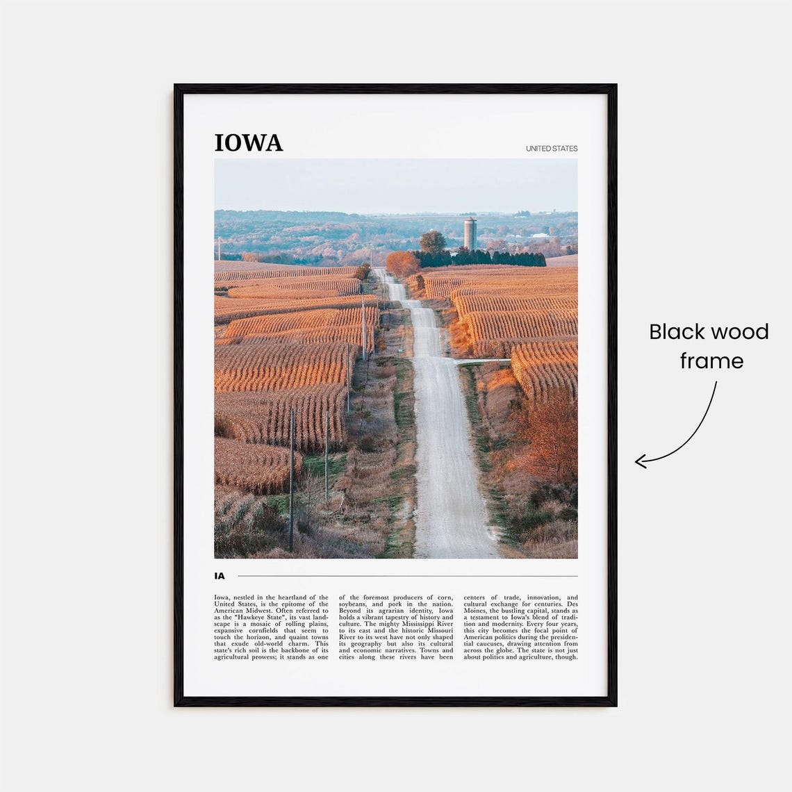 Iowa Travel Poster Iowa Wall Art Iowa Poster Print Iowa Photo Iowa Decor - Image 2