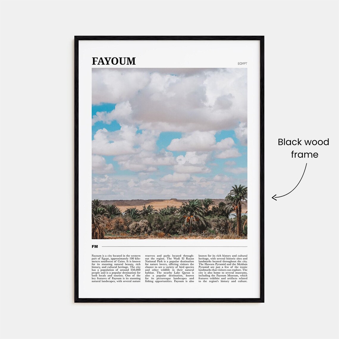 Fayoum Travel Poster Fayoum Wall Art Fayoum Poster Print Fayoum Photo Fayoum Decor Egypt - Image 2