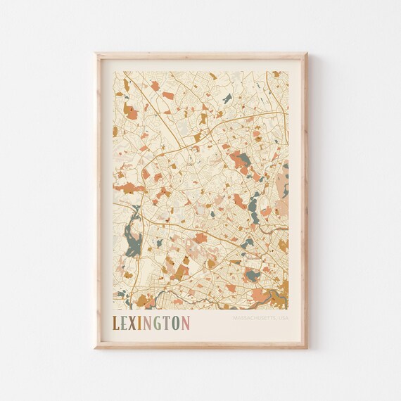 Lexington Massachusetts Boho Terracotta City Street Map Poster