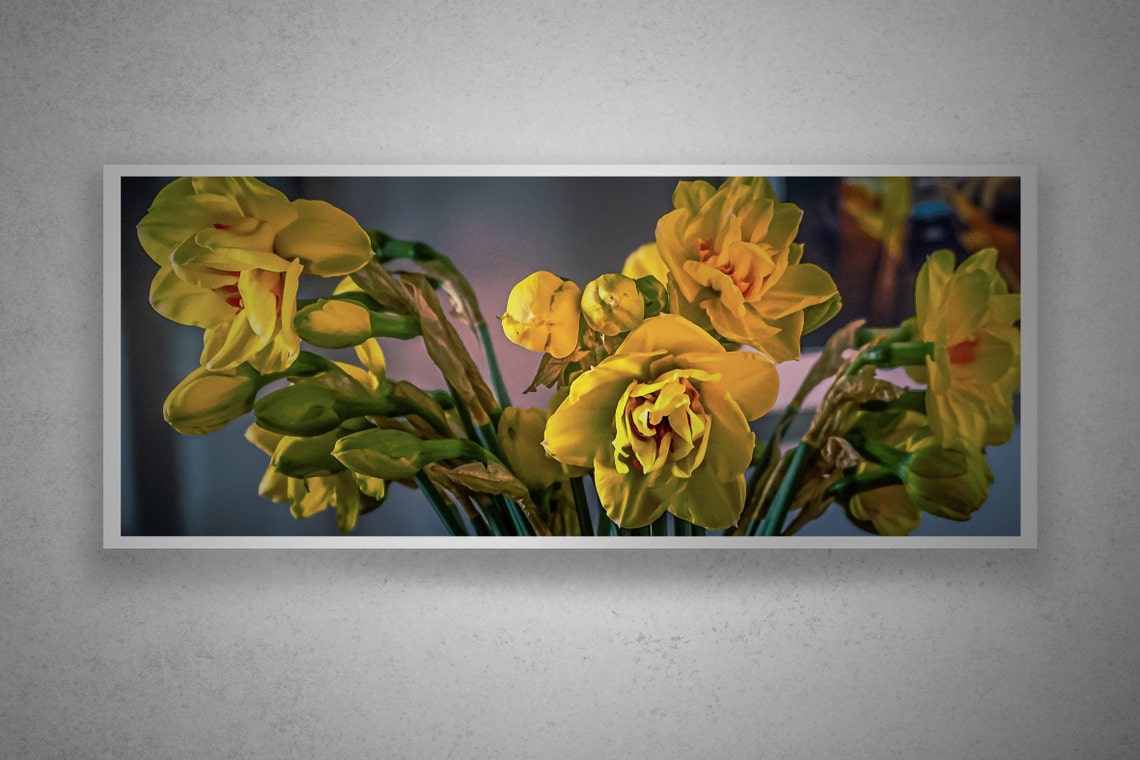 Yellow Daffodils Spring Flowers Botanical Photo No 13 Art Poster